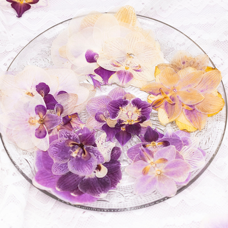 4 Pcs Pressed Dried Phalaenops - đánh giá và giá Dried Flower Bookmark