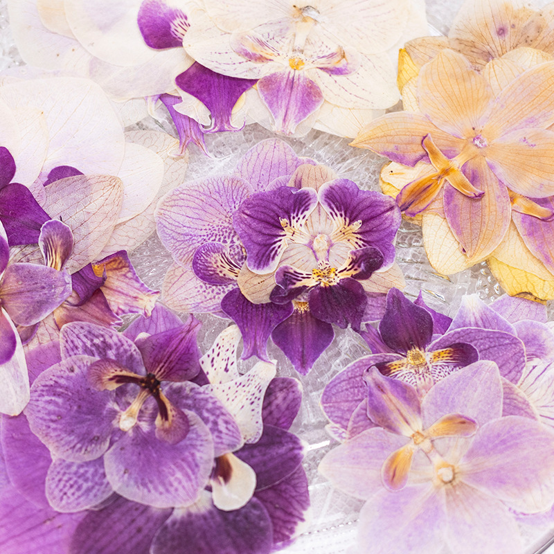 4 Pcs Pressed Dried Phalaenops - đánh giá và giá Dried Flower Bookmark