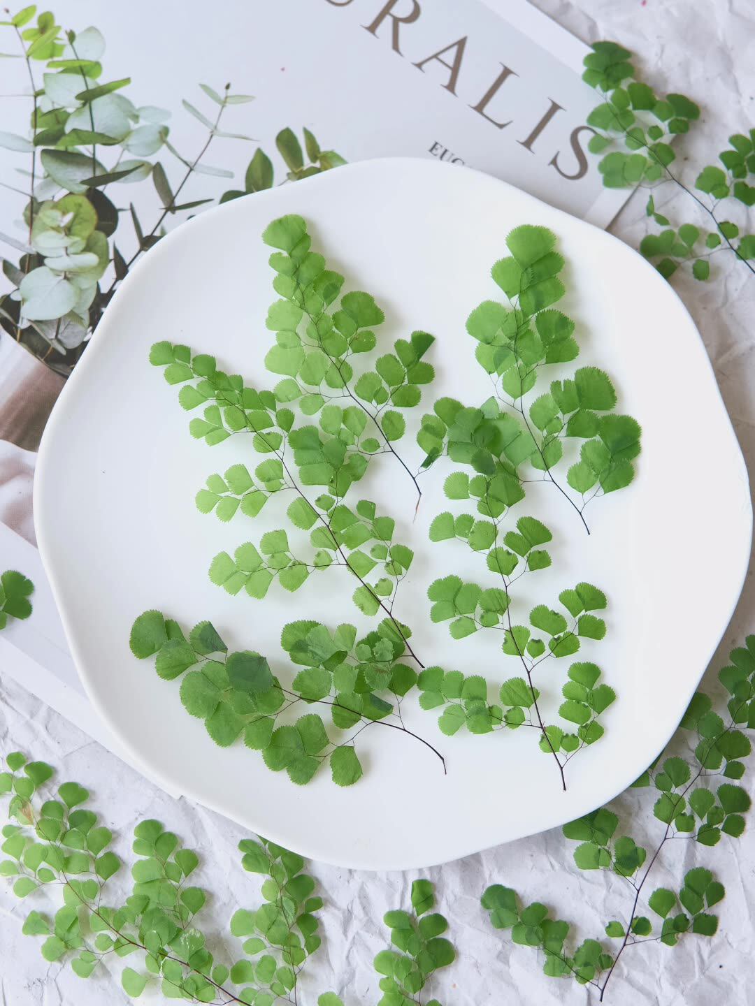 60Pcs Natural Plant Real Flowe - đánh giá và giá Dried Flower Bookmark