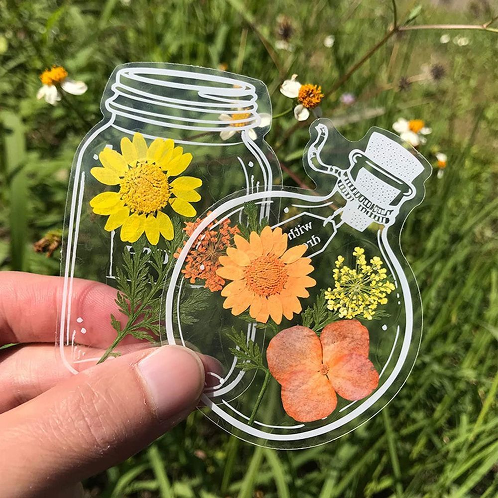 30Pcs Transparent Dried Flower - đánh giá và giá Dried Flower Bookmark