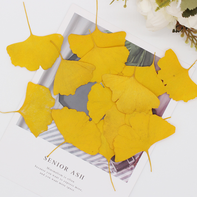60pcs Pressed Dried Yellow/Gre - đánh giá và giá Dried Flower Bookmark